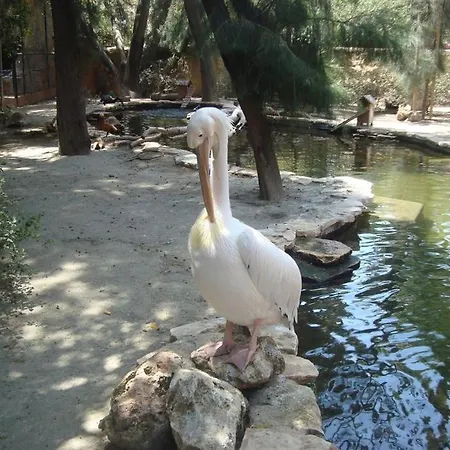 Cristiana Sea Breeze, Sleeps 3, Free Wifi