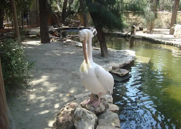 Cristiana Sea Breeze, Sleeps 3, Free Wifi